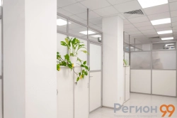 стационарная перегородка с дверью не до потолка